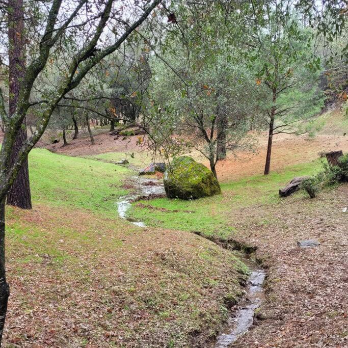Home In Groveland Near Yosemite Np Luaran gambar